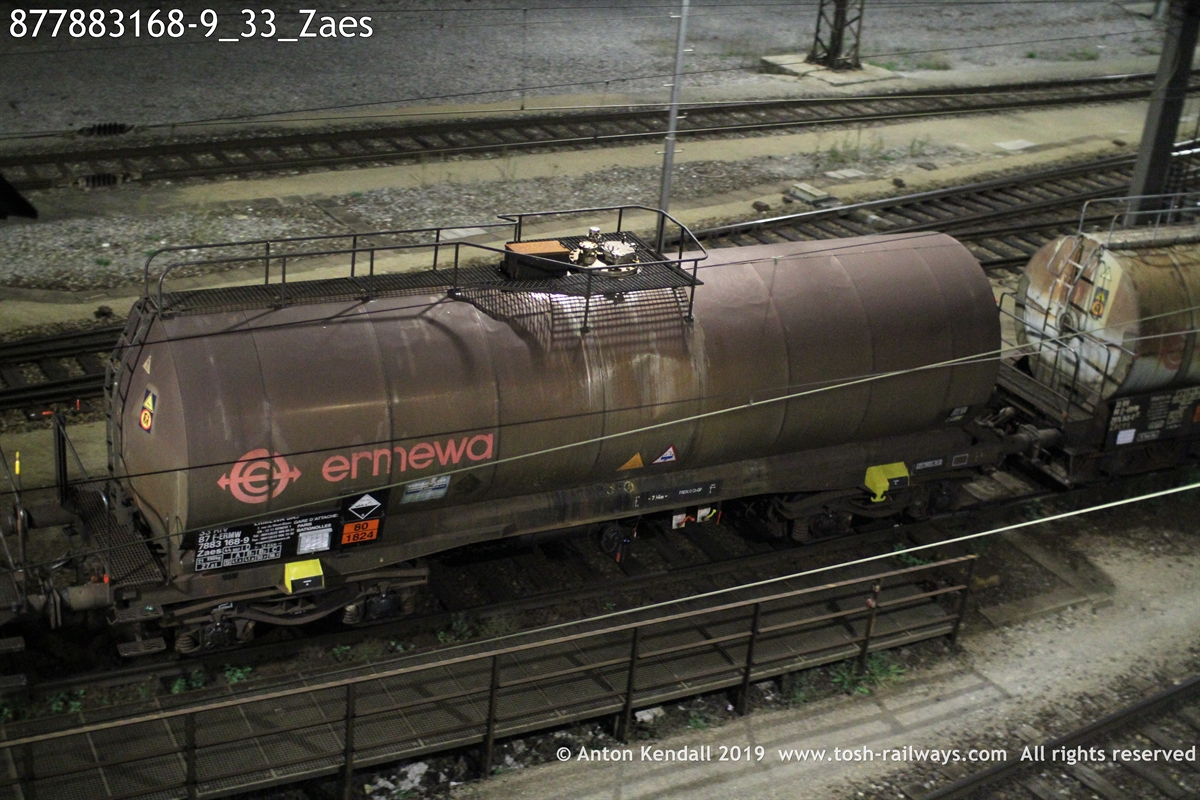 877883168-9_33_Zaes.JPG